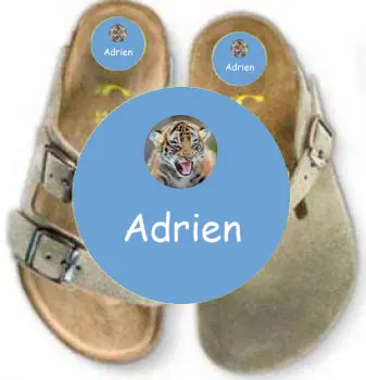 Shoe Stickers