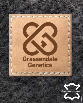 24 Custom Leather Labels with Logo | Personalised Leather Tags for Clothing | Leather Labels | Leather Tags