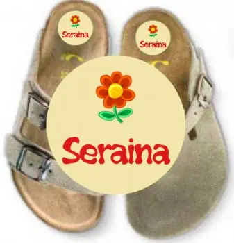 Shoe Stickers